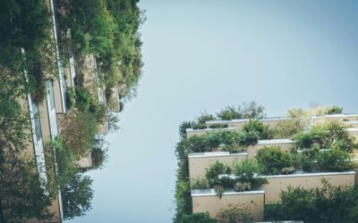 Valdecarros | Seis tendencias que marcarán el futuro de la vivienda sostenible Seis tendencias que marcarán el futuro de la vivienda sostenible